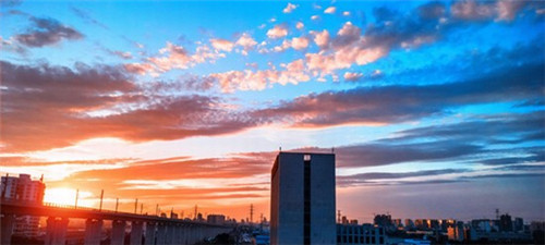 丁丁冒冒菜香锅