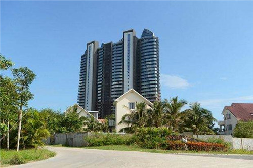 薛太保肥肠芋儿鸡