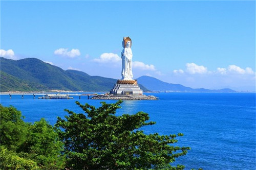 车极护