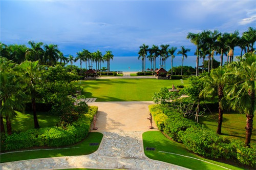 麦地初茶网红茶饮