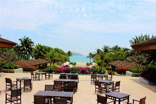 煲来饱去煲仔饭