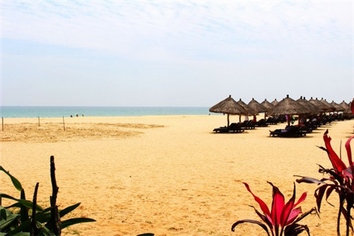 天津特色牛杂面 面食