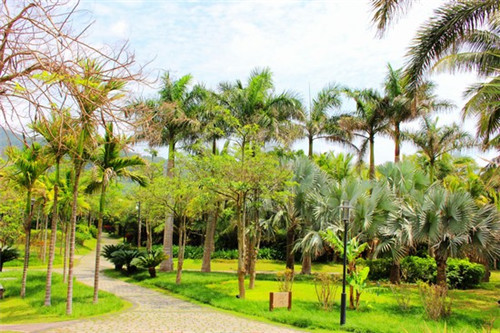 日本有什么店创业好做点，在日本创业做什么好