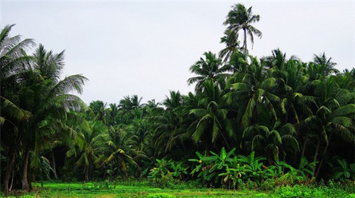 石油化工连锁店加盟哪些好，石油化工有限公司经营范围有哪些