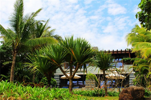 松溪县投资行业能赚钱吗，松溪县加盟迪尼熊英式奶茶投入会不会很高