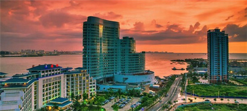 为食猫加盟费多少