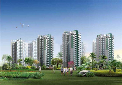 紫苏蒜子炒鸭子可以吃吗（紫苏炒鸭窍门）