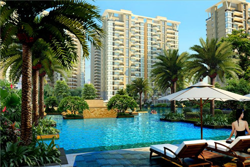 嫩黄豆炒草菇可以吃吗（草菇和黄豆可以一起吃吗?）