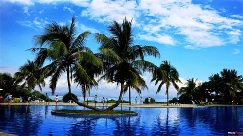 猫式吹潇是什么意思（猫式吹啸过程）