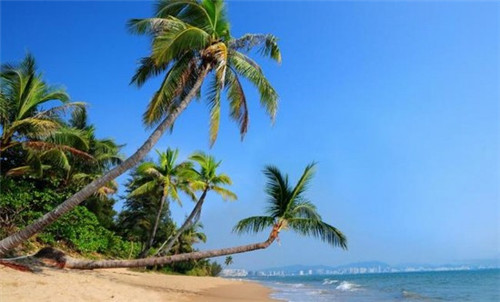 装修房子房主不给钱可以拆吗（装修完户主不给钱可以拆吗）